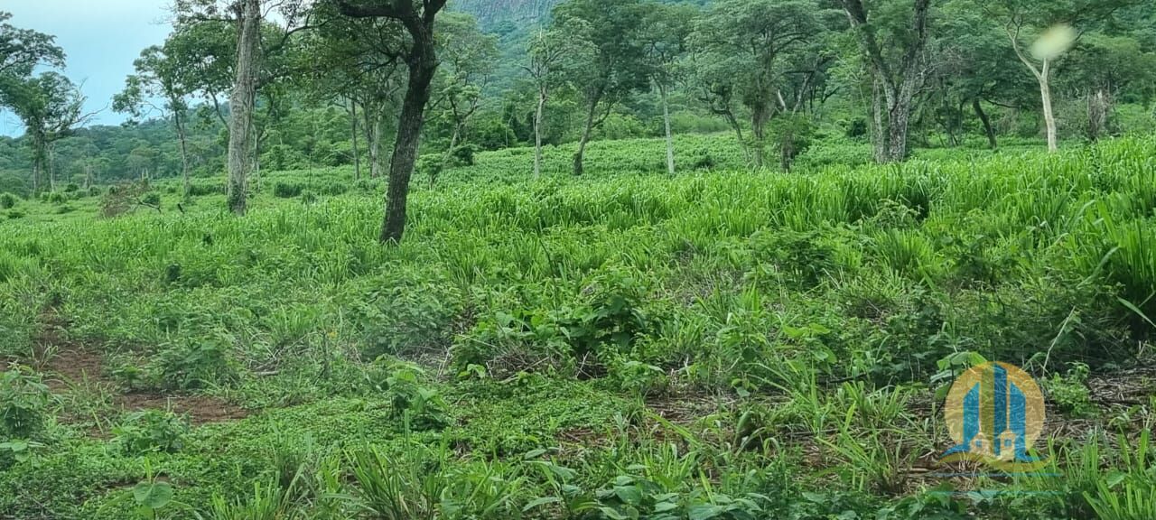 Fazenda em Corumbá/Mato Grosso do Sul — Ref WFZWB6 — Imagem 7