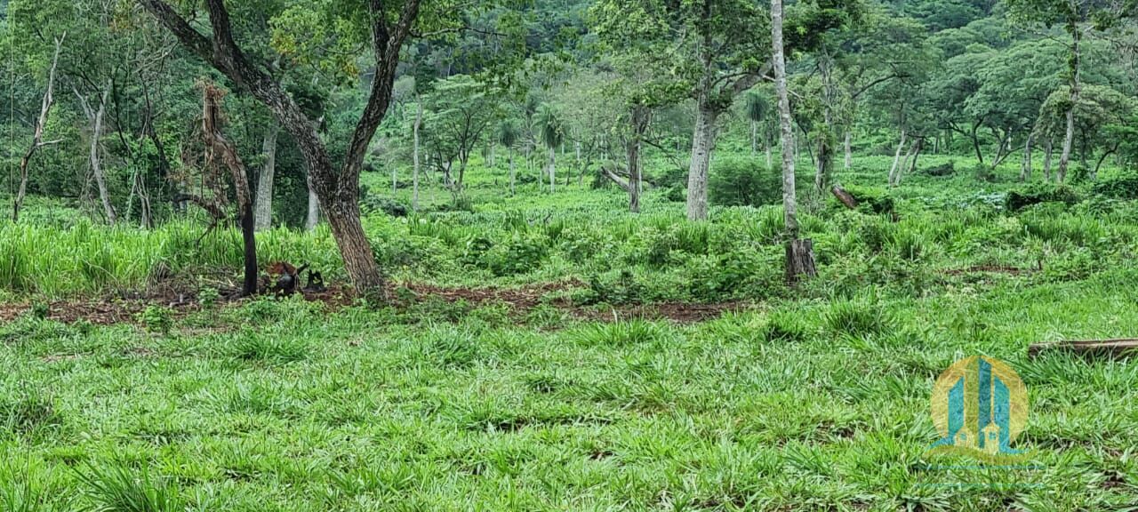 Fazenda em Corumbá/Mato Grosso do Sul — Ref WFZWB6 — Imagem 40
