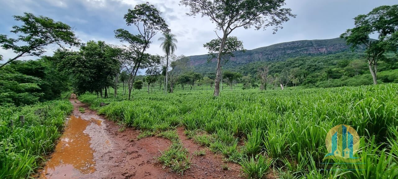Fazenda em Corumbá/Mato Grosso do Sul — Ref WFZWB6 — Imagem 45