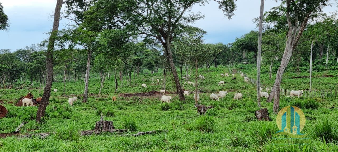 Fazenda em Corumbá/Mato Grosso do Sul — Ref WFZWB6 — Imagem 11
