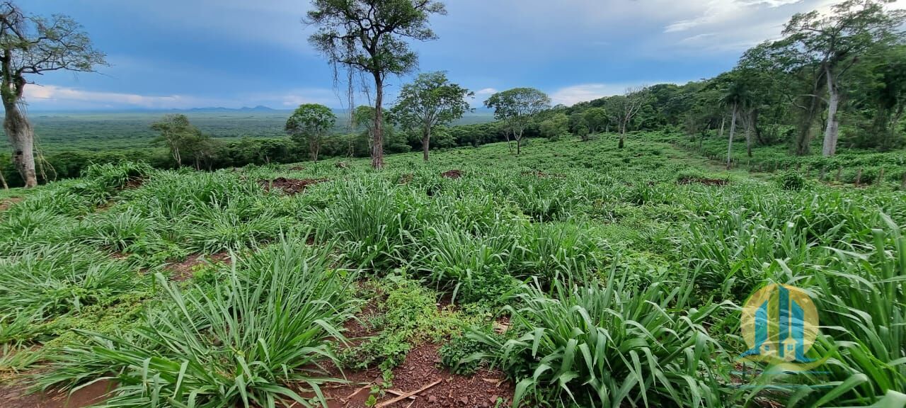 Fazenda em Corumbá/Mato Grosso do Sul — Ref WFZWB6 — Imagem 8