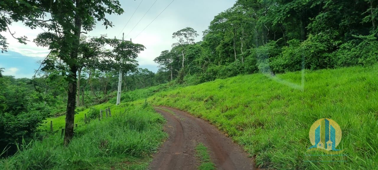Fazenda em Corumbá/Mato Grosso do Sul — Ref WFZWB6 — Imagem 21