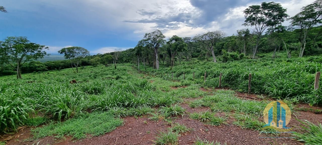 Fazenda em Corumbá/Mato Grosso do Sul — Ref WFZWB6 — Imagem 6