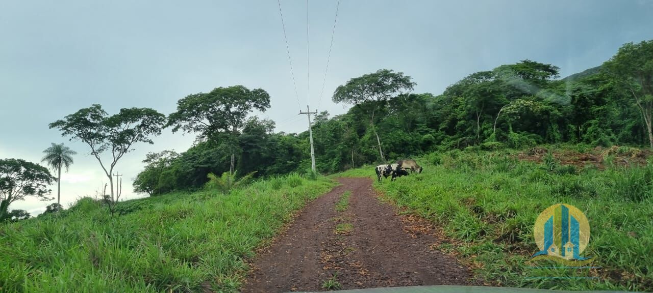 Fazenda em Corumbá/Mato Grosso do Sul — Ref WFZWB6 — Imagem 18
