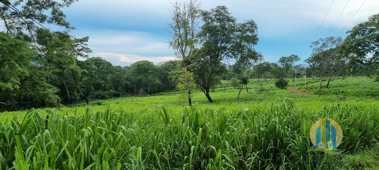 Fazenda em Corumbá/Mato Grosso do Sul — Ref WFZWB6 — Imagem 2