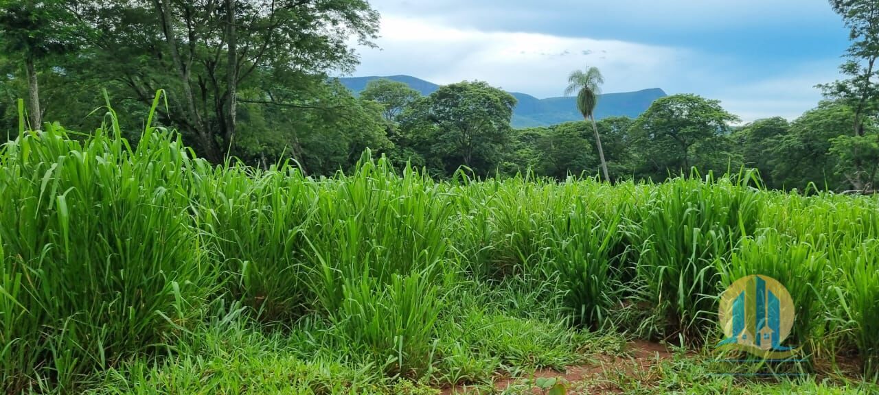 Fazenda em Corumbá/Mato Grosso do Sul — Ref WFZWB6 — Imagem 3