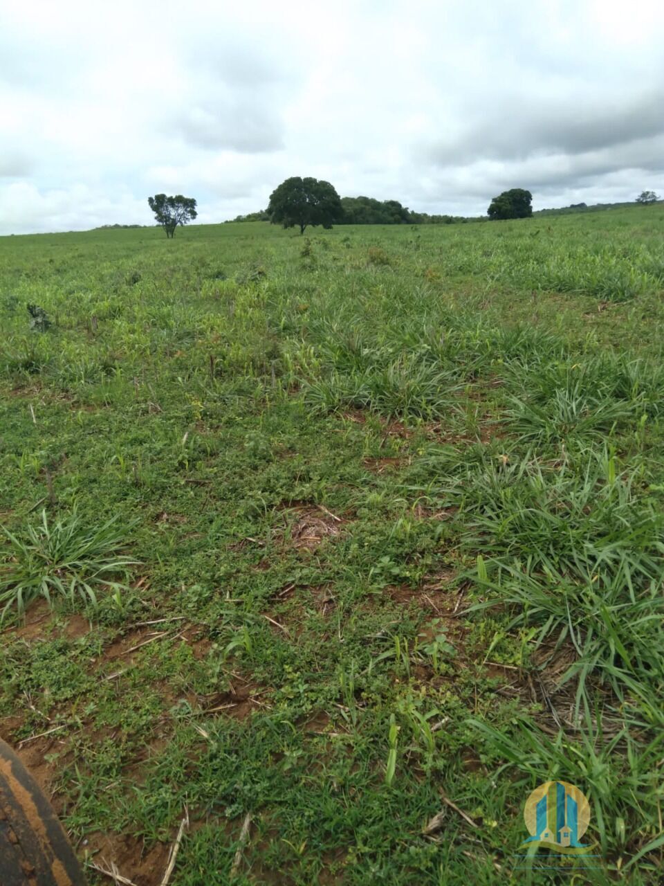 Fazenda em Divinópolis de Goiás/Goiás — Ref T9QH1E — Imagem 15