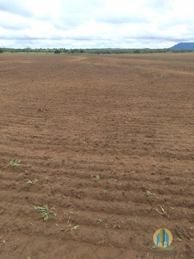 Fazenda em Divinópolis de Goiás/Goiás — Ref T9QH1E — Imagem 19
