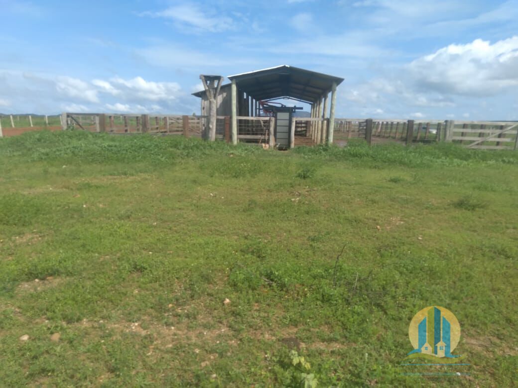 Fazenda em Divinópolis de Goiás/Goiás — Ref T9QH1E — Imagem 8