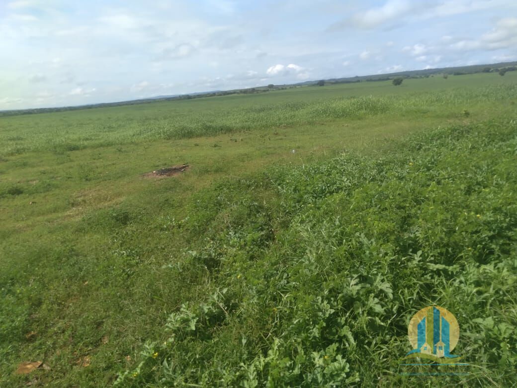 Fazenda em Divinópolis de Goiás/Goiás — Ref T9QH1E — Imagem 12