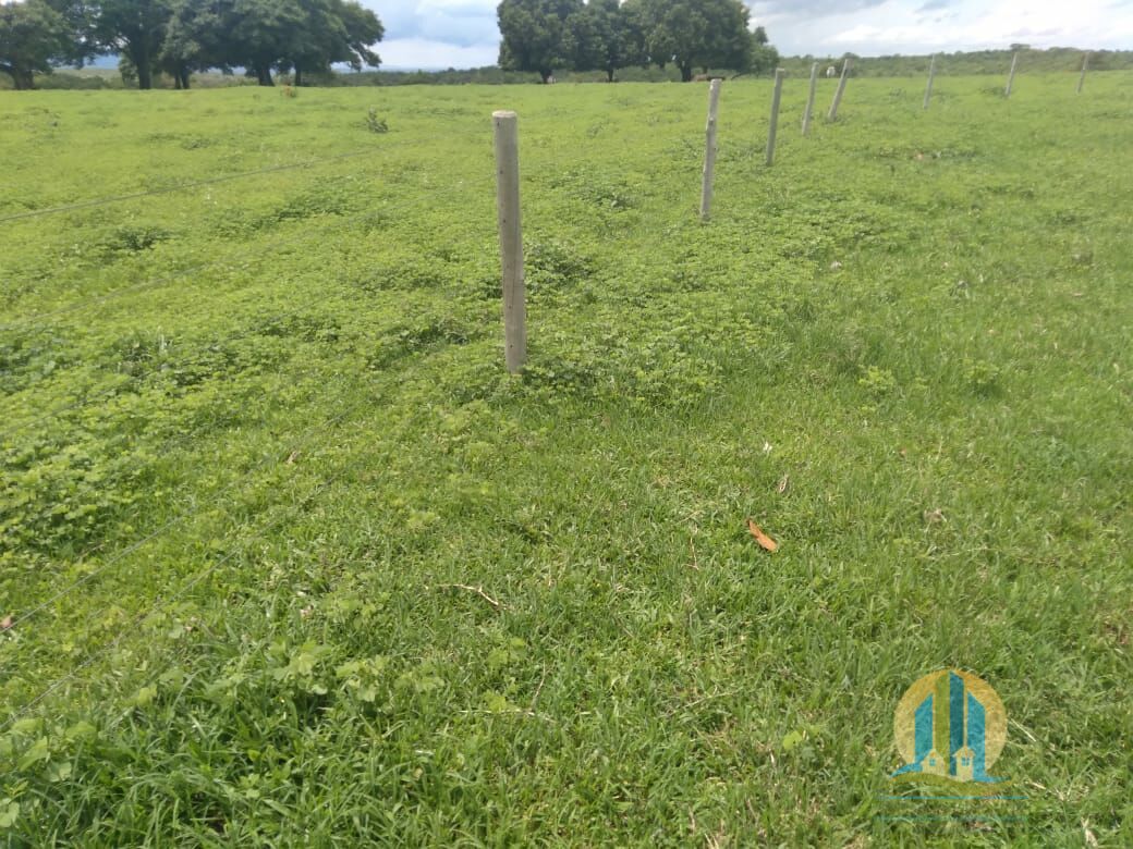 Fazenda em Divinópolis de Goiás/Goiás — Ref T9QH1E — Imagem 14