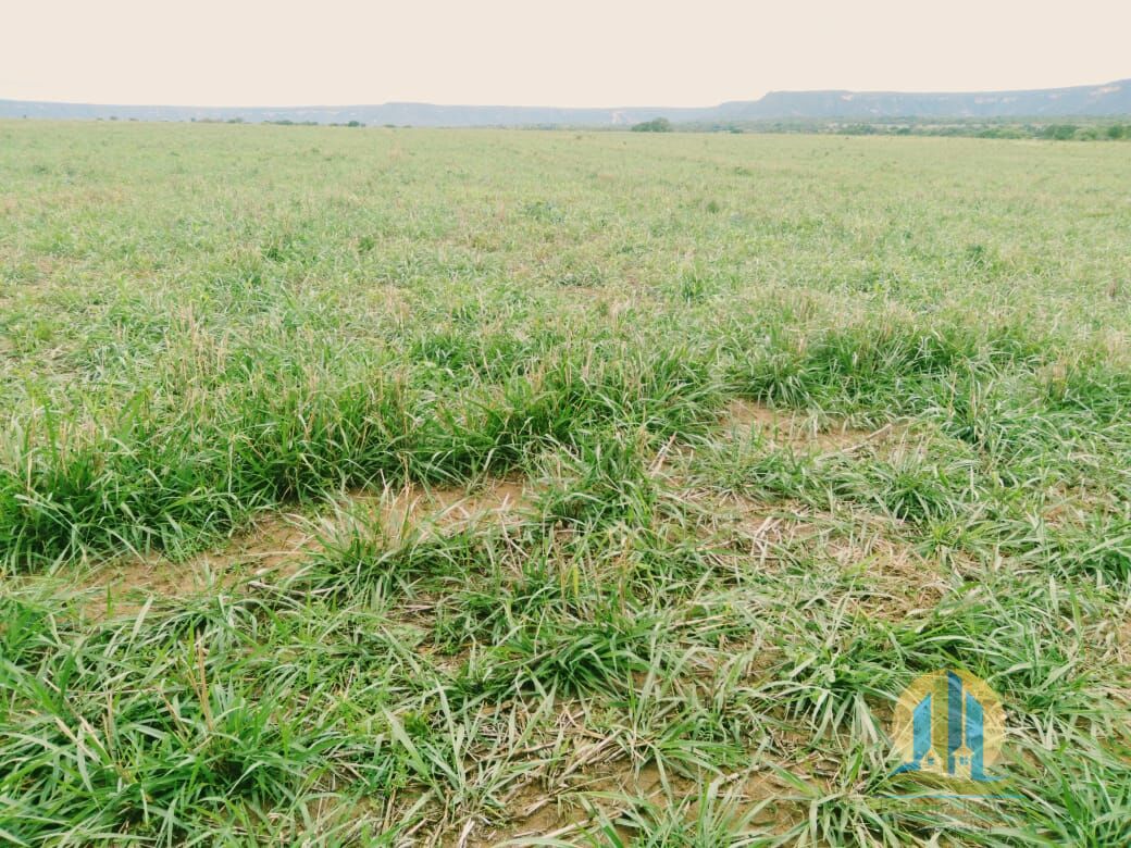 Fazenda em Divinópolis de Goiás/Goiás — Ref T9QH1E — Imagem 16