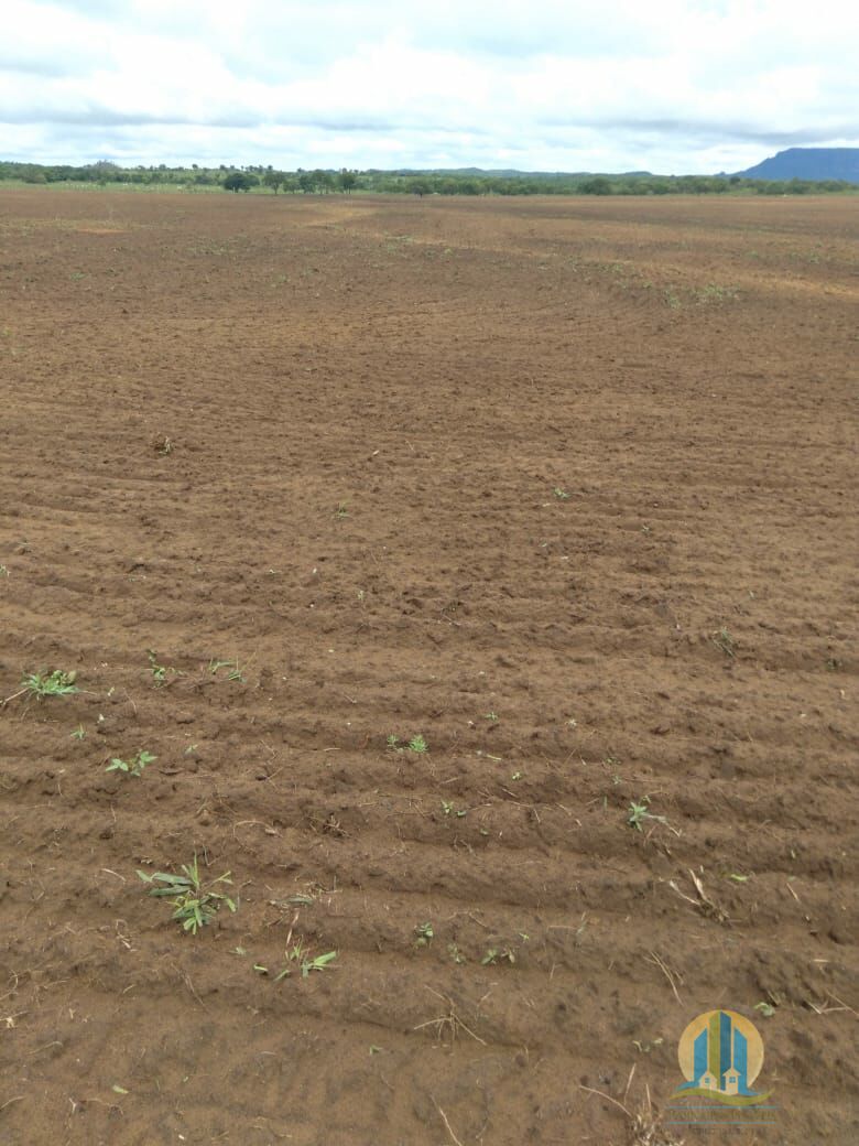 Fazenda em Divinópolis de Goiás/Goiás — Ref T9QH1E — Imagem 17
