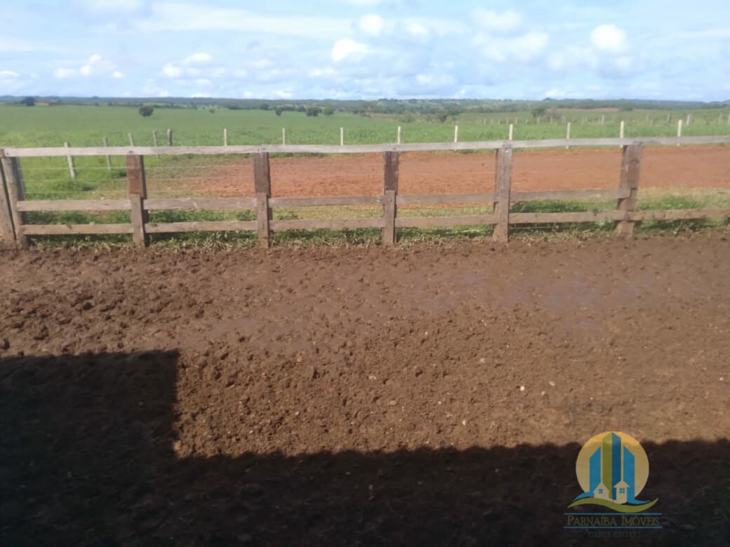 Fazenda em Divinópolis de Goiás/Goiás — Ref T9QH1E — Imagem 11