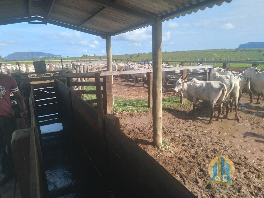 Fazenda em Divinópolis de Goiás/Goiás — Ref T9QH1E — Imagem 9