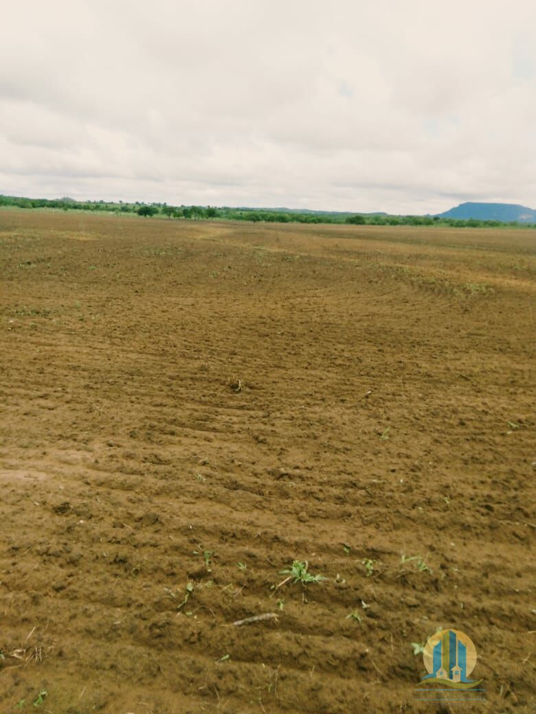 Fazenda em Divinópolis de Goiás/Goiás — Ref T9QH1E — Imagem 18