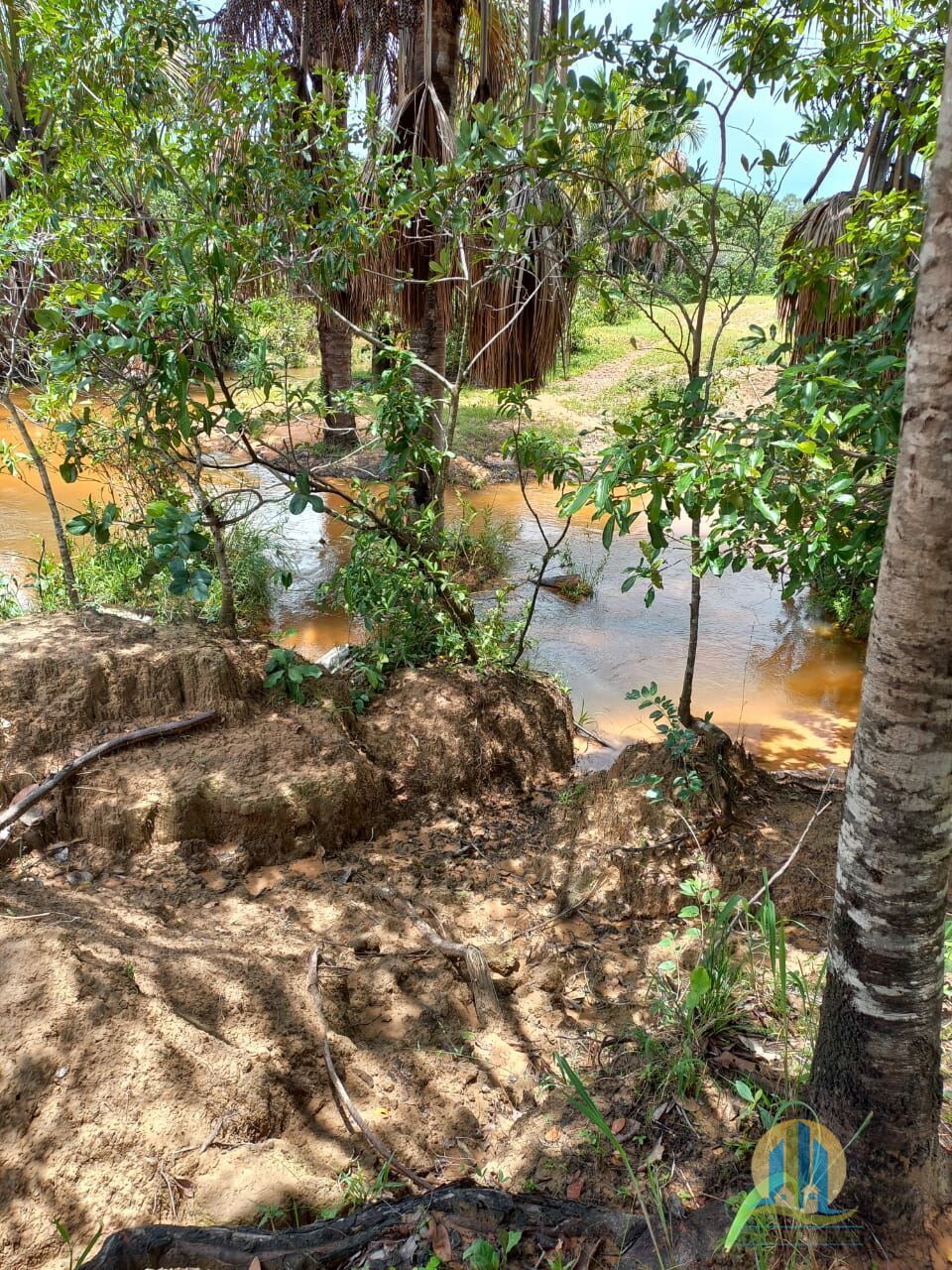 Fazenda em Divinópolis de Goiás/Goiás — Ref T9QH1E — Imagem 20