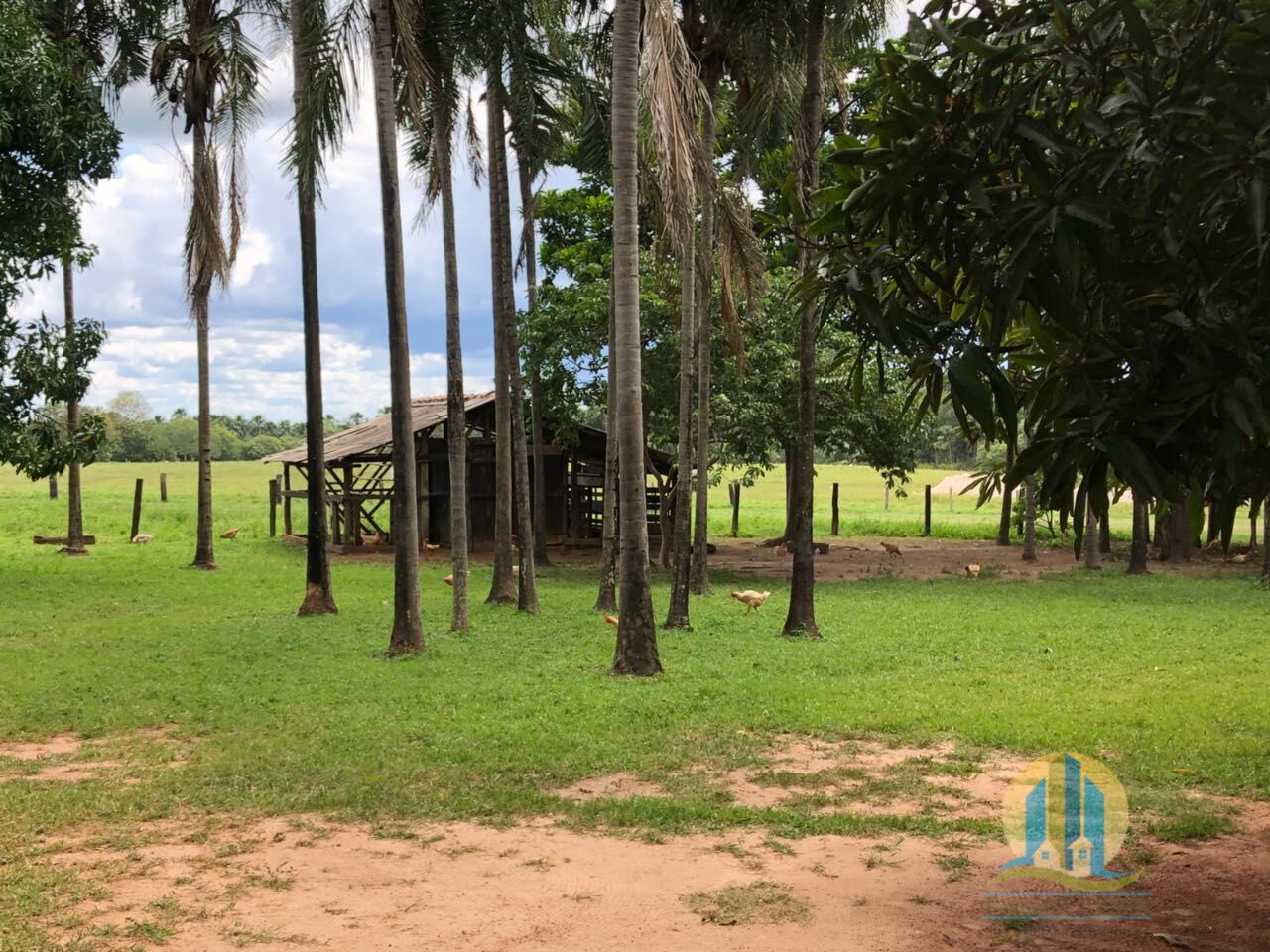 Fazenda em Peixe/Tocantins — Ref GQJ7WT — Imagem 17