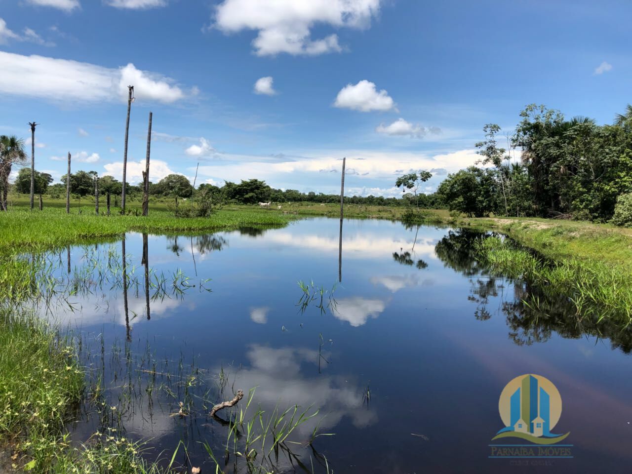 Fazenda em Peixe/Tocantins — Ref GQJ7WT — Imagem 12