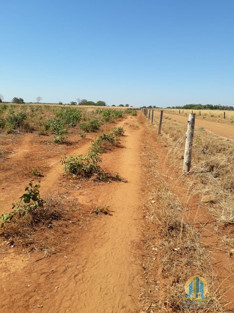 Fazenda em Peixe/Tocantins — Ref GQJ7WT — Imagem 23