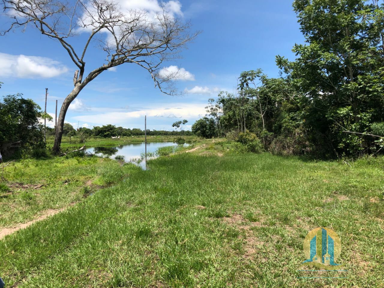 Fazenda em Peixe/Tocantins — Ref GQJ7WT — Imagem 11