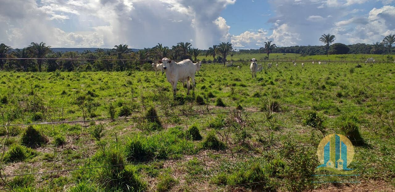 Fazenda em Peixe/Tocantins — Ref GQJ7WT — Imagem 6