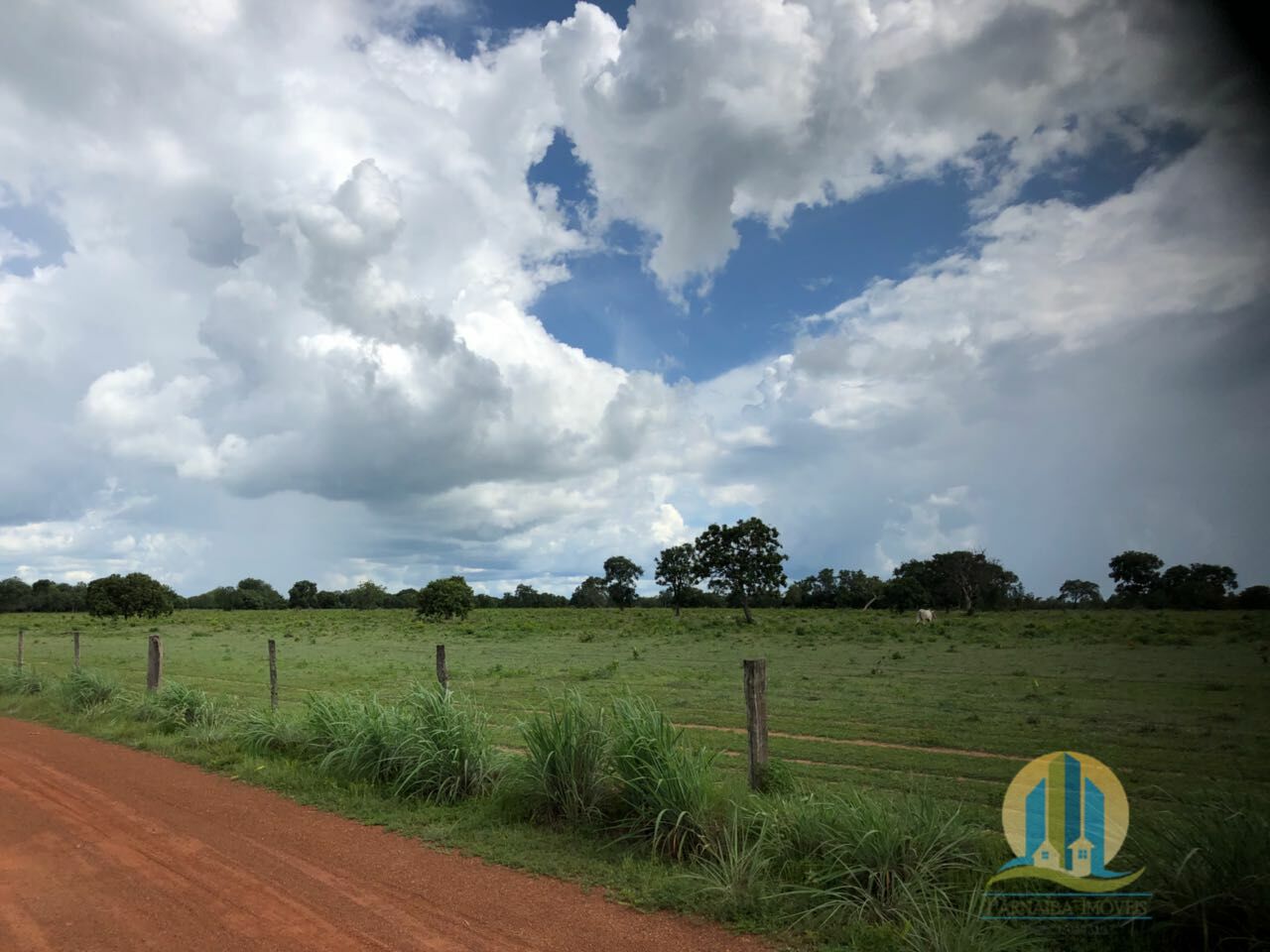 Fazenda em Peixe/Tocantins — Ref GQJ7WT — Imagem 3