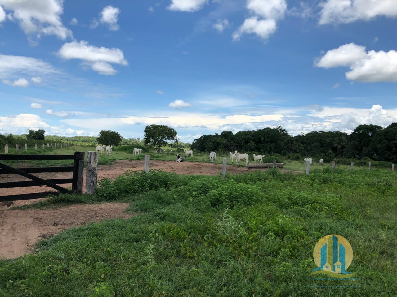 Fazenda em Peixe/Tocantins — Ref GQJ7WT — Imagem 5