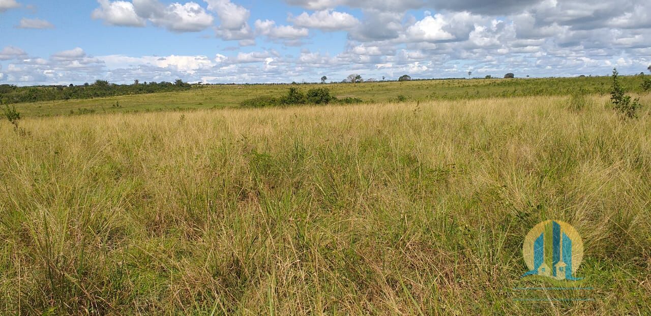 Fazenda em Peixe/Tocantins — Ref GQJ7WT — Imagem 8