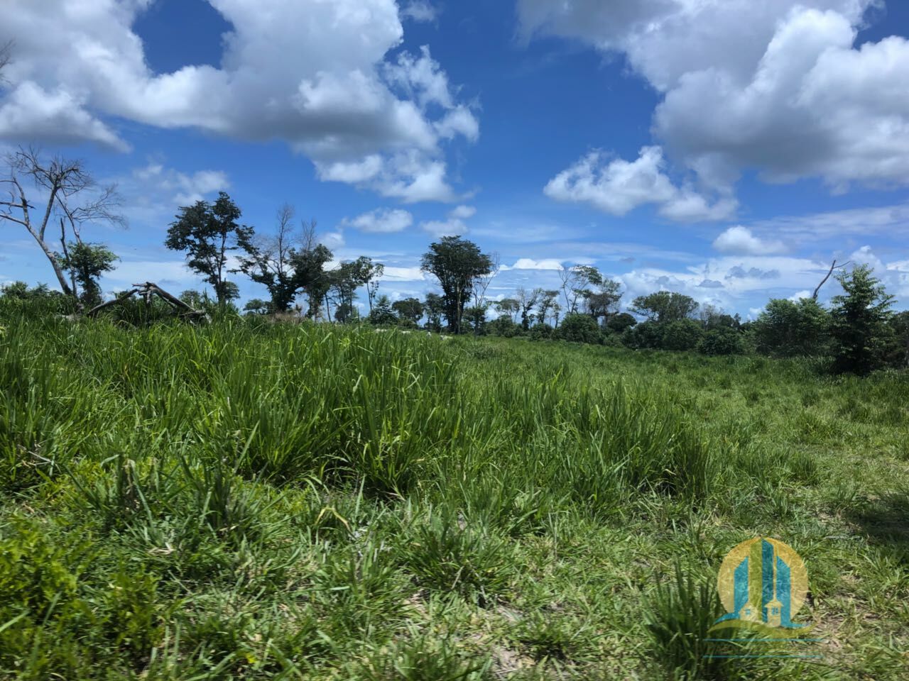 Fazenda em Peixe/Tocantins — Ref GQJ7WT — Imagem 14