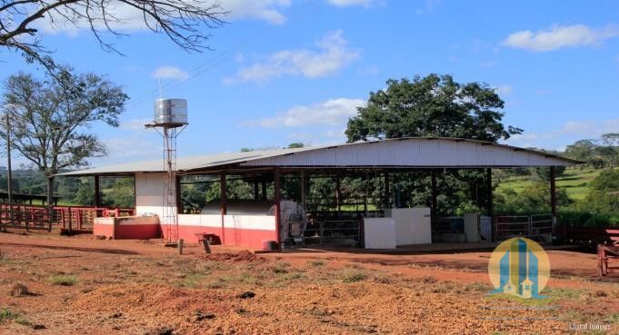 Fazenda em Leopoldo de Bulhões/Goiás — Ref 3PXHWW — Imagem 6
