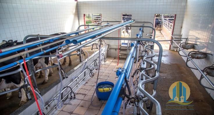 Fazenda em Leopoldo de Bulhões/Goiás — Ref 3PXHWW — Imagem 13