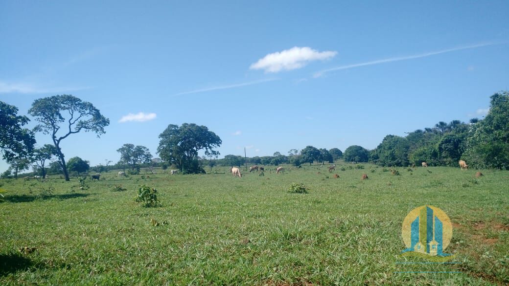 Fazenda em Prata/Minas Gerais — Ref W0AFBM — Imagem 7