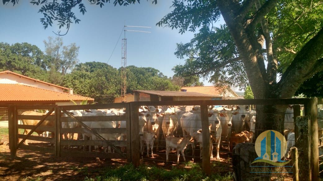 Fazenda em Prata/Minas Gerais — Ref W0AFBM — Imagem 2