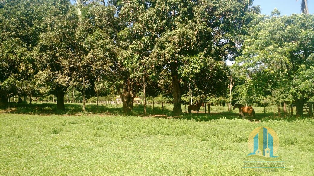 Fazenda em Prata/Minas Gerais — Ref W0AFBM — Imagem 16