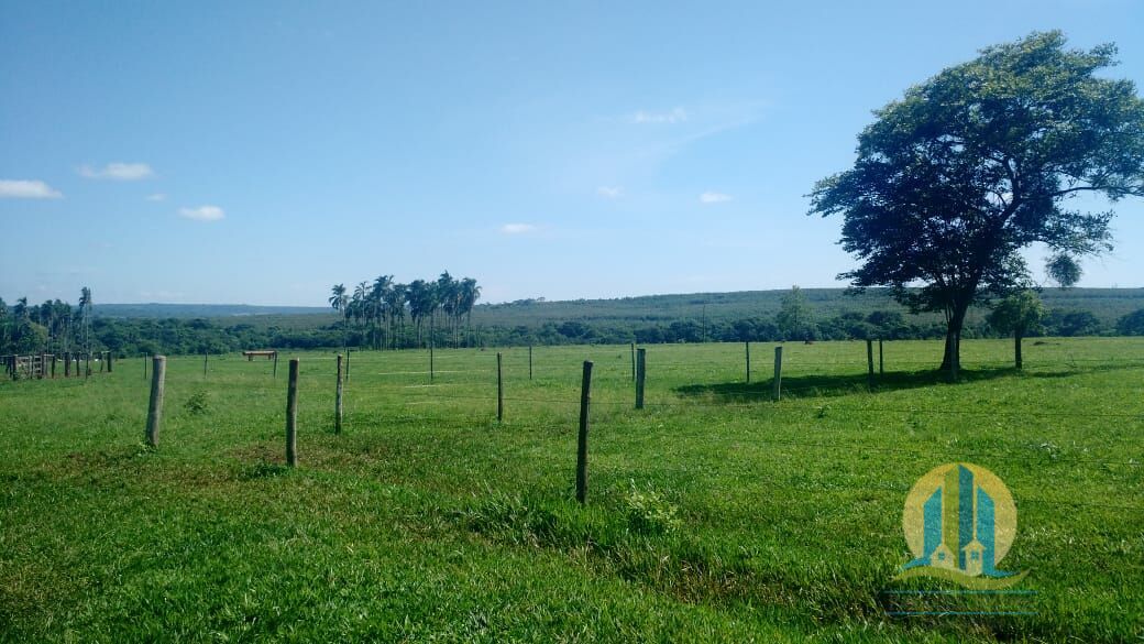 Fazenda em Prata/Minas Gerais — Ref W0AFBM — Imagem 14