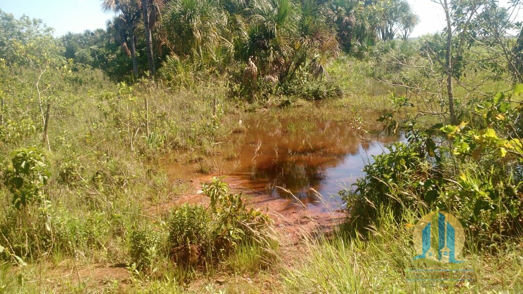 Fazenda em Prata/Minas Gerais — Ref W0AFBM — Imagem 19