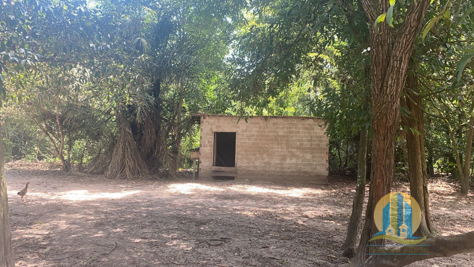 Chãozão - O Maior Portal de Anúncios de Imóveis Rurais do Brasil.