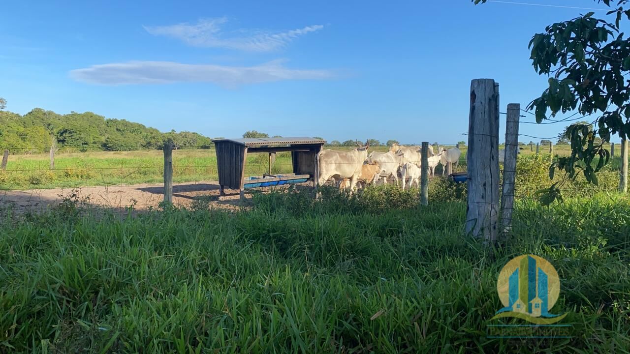 Chãozão - O Maior Portal de Anúncios de Imóveis Rurais do Brasil.