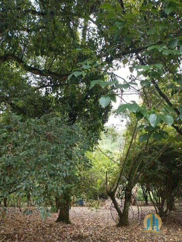 Chácara em Santana de Parnaíba/São Paulo — Ref X0DFVX — Imagem 30