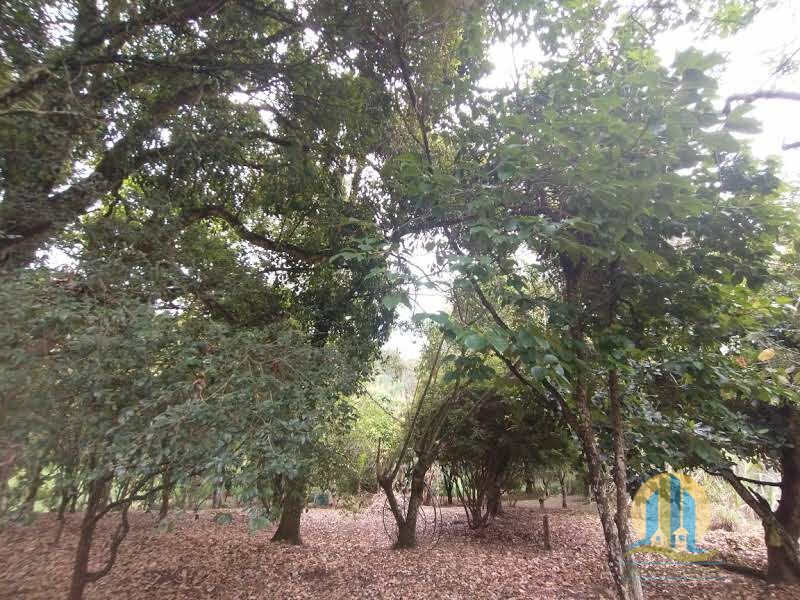 Chácara em Santana de Parnaíba/São Paulo — Ref X0DFVX — Imagem 29