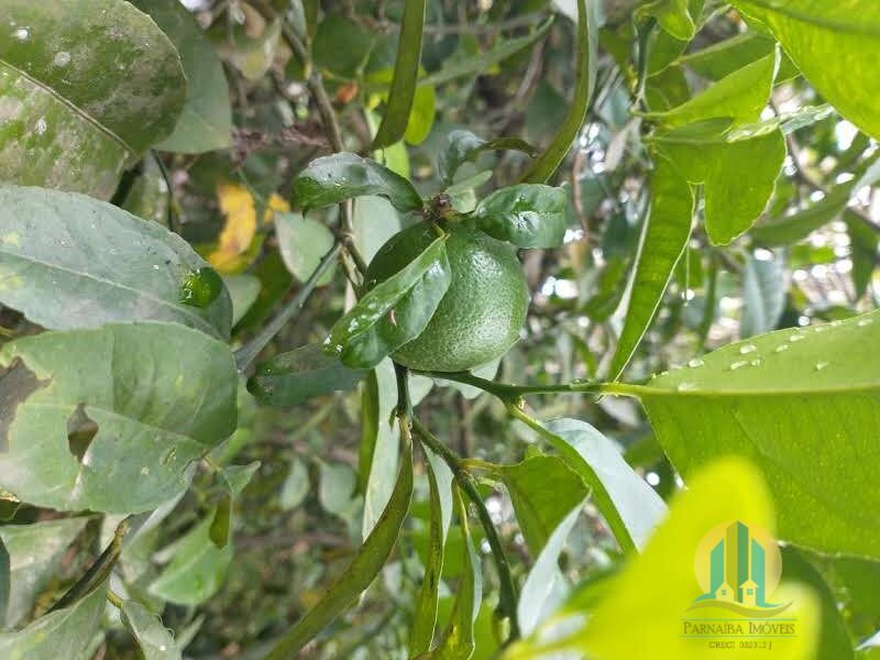 Chácara em Santana de Parnaíba/São Paulo — Ref X0DFVX — Imagem 31