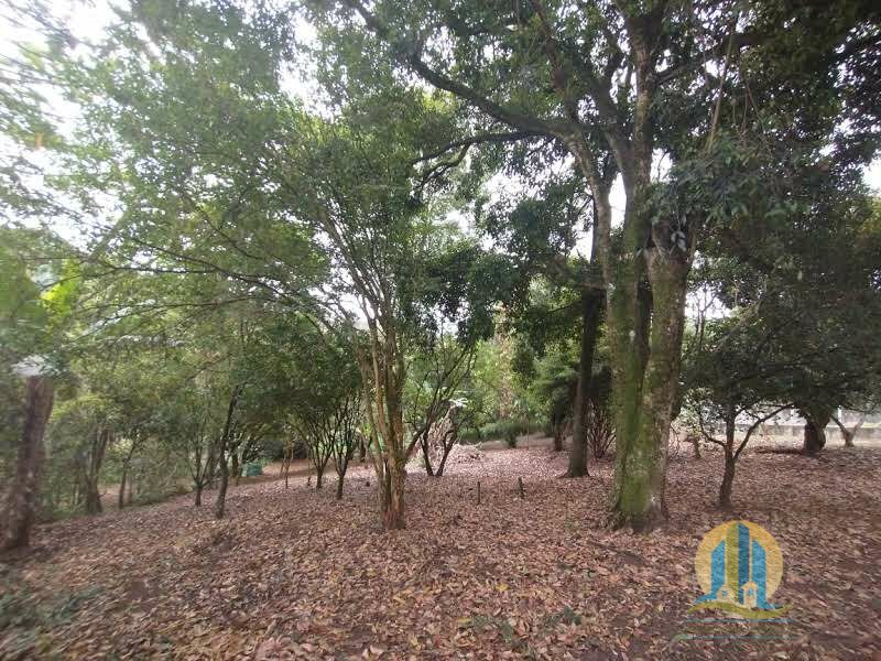 Chácara em Santana de Parnaíba/São Paulo — Ref X0DFVX — Imagem 32