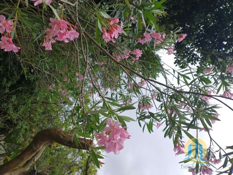 Chácara em Santana de Parnaíba/São Paulo — Ref X0DFVX — Imagem 27