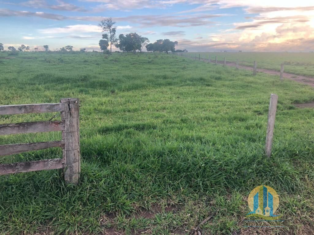 Fazenda em Caiapônia/Goiás — Ref IUZTNV — Imagem 11