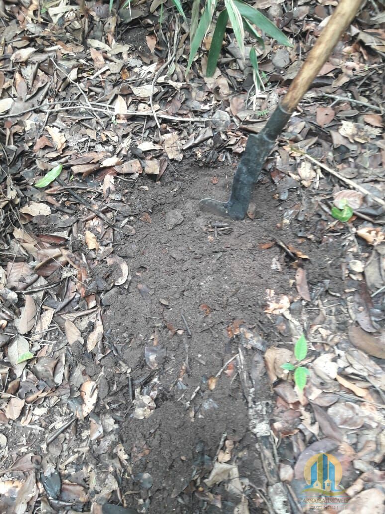 Fazenda em Caiapônia/Goiás — Ref IUZTNV — Imagem 15