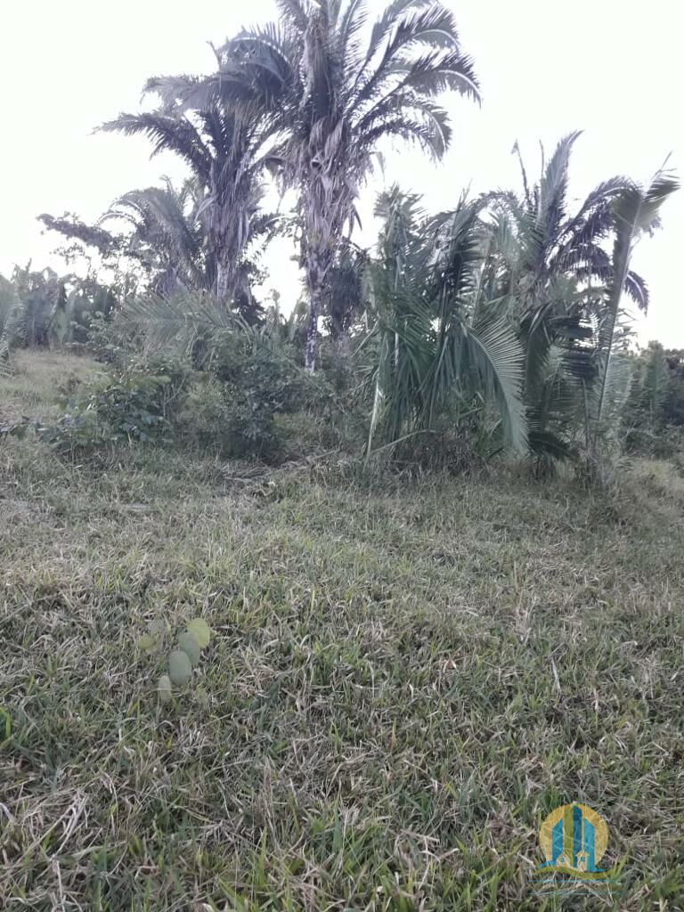 Fazenda em Caiapônia/Goiás — Ref IUZTNV — Imagem 12