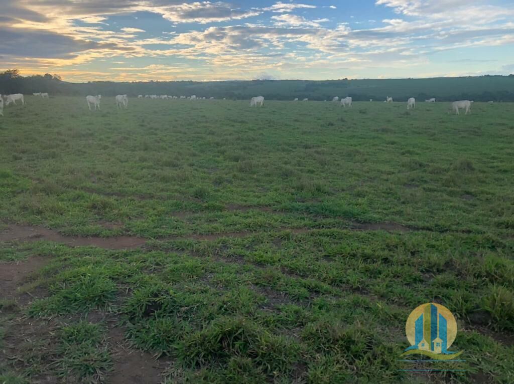 Fazenda em Caiapônia/Goiás — Ref IUZTNV — Imagem 9