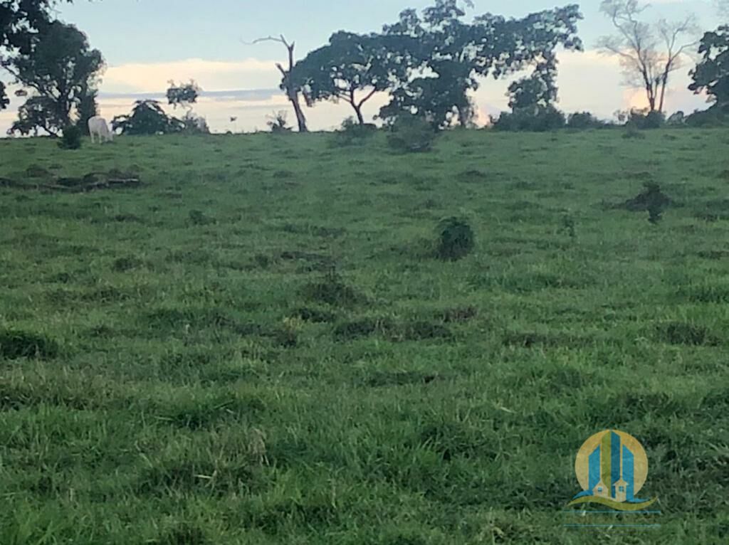 Fazenda em Caiapônia/Goiás — Ref IUZTNV — Imagem 10