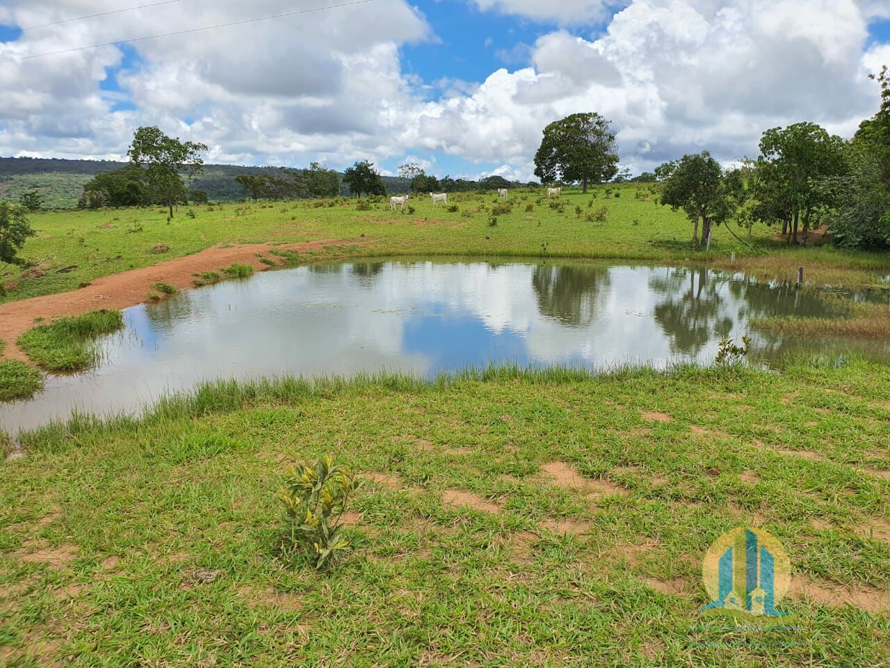 Fazenda em Caiapônia/Goiás — Ref IUZTNV — Imagem 4